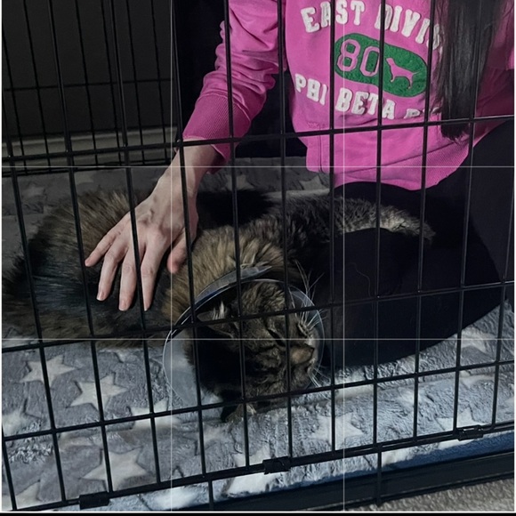 NWT ‘Sophia’ Pump by Badgley Mischka - Picture 5 of 10